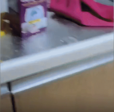 문을 열자마자 악취가 풍겨나오기 시작했고, 화장실을 포함한 집안 곳곳에는 개털, 쓰레기, 담배꽁초 등의 오물이 가득했다. (사진=JTBC 사건반장 보도화면 캡처) *재판매 및 DB 금지