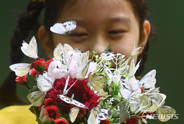 [용인=뉴시스] 김종택 기자 = 절기상 입춘을 이틀 앞둔 2일 경기도 용인시 에버랜드 라이브 나비체험관을 찾은 어린이가 아름다운 나비를 살펴보고 있다. 2024.02.02. jtk@newsis.com