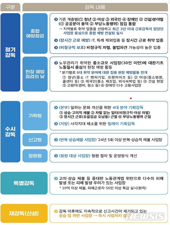 [서울=뉴시스] 2024년 근로감독 분야별 계획
