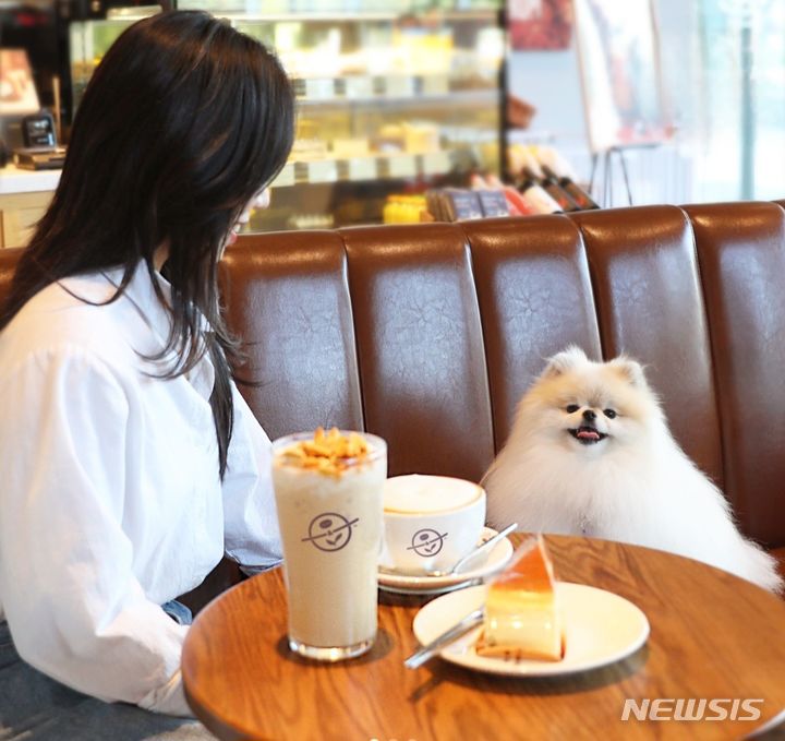 [서울=뉴시스] 커피빈 펫 동반 매장. (사진=커피빈 인스타그램 캡처)