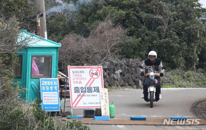 [서귀포=뉴시스] 우장호 기자 = 지난 2월7일 오전 제주 서귀포시 성산읍 오조리에 방역 초소가 설치돼 있는 모습. 2024.02.07. woo1223@newsis.com