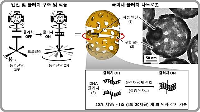 [대전=뉴시스]클러치 나노로봇의 구조와 작동원리. 클러치는 엔진의 동력을 전달 혹은 차단하는 로봇의 필수 요소며 클러치 나노로봇은 자성 엔진, 구형 로터, DNA 클러치로 이뤄져 있고 DNA 클러치는 무한대에 가까운(4의 20제곱) 정보를 코딩할 수 있다.(사진=IBS 제공) *재판매 및 DB 금지