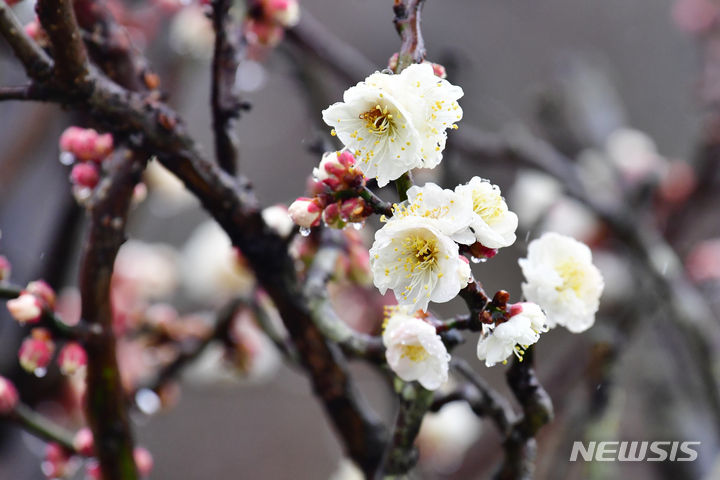 충북, 대체로 흐리고 1㎜ 미만 빗방울…한낮 6~8도