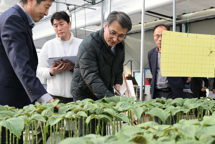[서울=뉴시스] 조성우 기자 = 사진은 서효원 농촌진흥청 차장이 지난해 2월 14일 충남 금산군농업기술센터 잎들깨 스마트농업 실증·시험 시설에서 생육환경 정보 수집기 등 시설 운영 현황을 살펴보고 있는 모습. (사진=농촌진흥청 제공)2024.02.14. photo@newsis.com *재판매 및 DB 금지