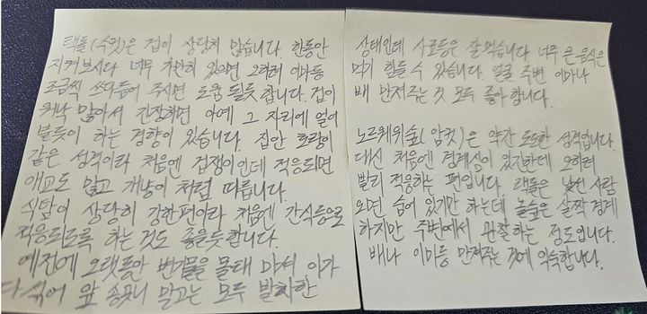 [서울=뉴시스] 한 유튜브 구독자가 유튜버에게 고양이 두 마리를 유기하면서 고양이들의 정보가 담긴 쪽지를 남겼다. (사진= 유튜브 '산골짜기동물칭구' 채널 캡처) 2024.2.16. photo@newsis.com *재판매 및 DB 금지