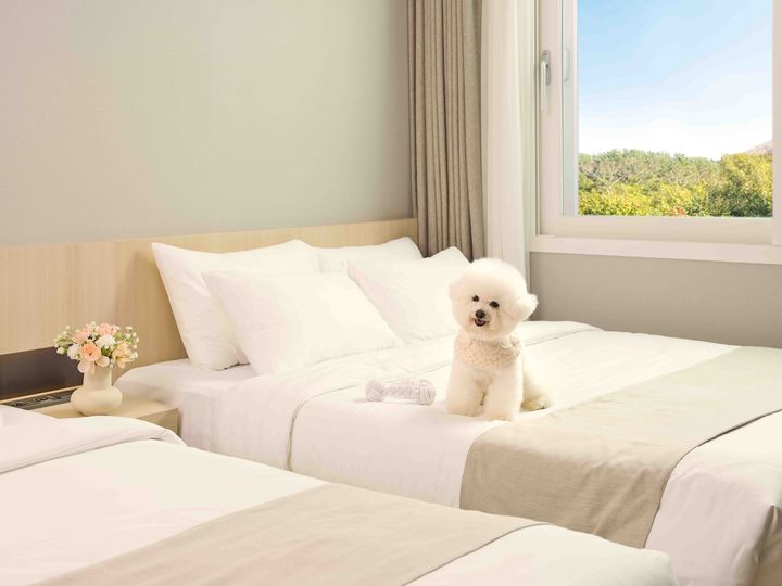 "강아지 맡길 곳이 없어서 여행 못 가요"…설 연휴 발 묶인 반려인들