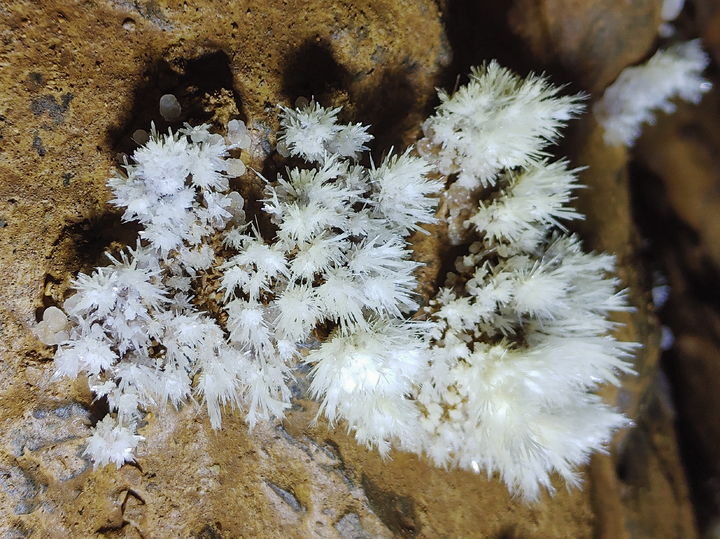 영월 분덕재동굴 동굴생성물(석화). (사진=문화재청 제공) photo@newsis.com *재판매 및 DB 금지