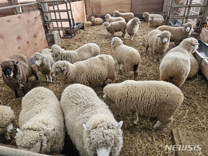 [고창=뉴시스] 류난영 기자 = 전북 고창에 위치한 매일유업 상하농원. 상하농원은 약 3만평 대지에 자연과 사람이 공생할 수 있는 건강한 농촌을 꿈꾸며 조성된 농어촌 테마공원이다. 