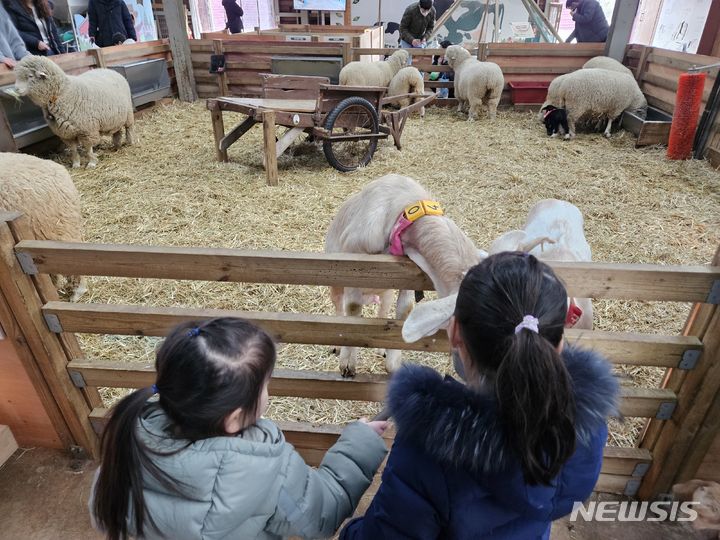 [고창=뉴시스] 류난영 기자 = 전북 고창에 위치한 매일유업 상하농원에서 아이들이 먹이주기 체험을 하고 있다. 상하농원은 약 3만평 대지에 자연과 사람이 공생할 수 있는 건강한 농촌을 꿈꾸며 조성된 농어촌 테마공원이다. 