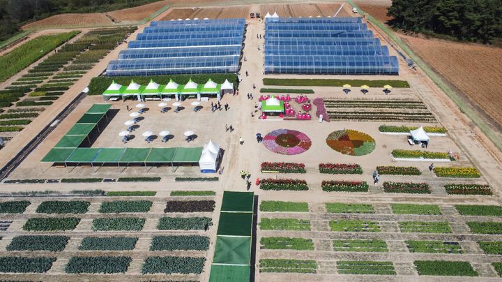 [세종=뉴시스] 국제종자박람회에 조성된 품종 전시포 모습. (사진=한국농업기술진흥원 제공) *재판매 및 DB 금지