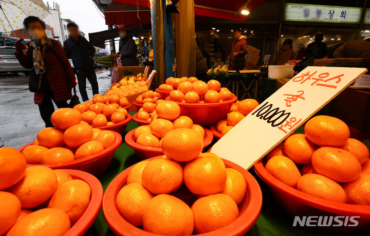 [서울=뉴시스] 황준선 기자 = 한국은행이 발표한 1월 생산자물가지수가121.80(2015년 100기준)으로 전월 대비 0.5% 올랐다. 특히 감귤이 전월대비 48.8%, 사과는 7.5% 오르는 등 농산물 가격의 상승 영향이 컸다. 사진은 21일 서울 동대문구 청량리종합시장에서 판매중인 귤. 2024.02.21. hwang@newsis.com