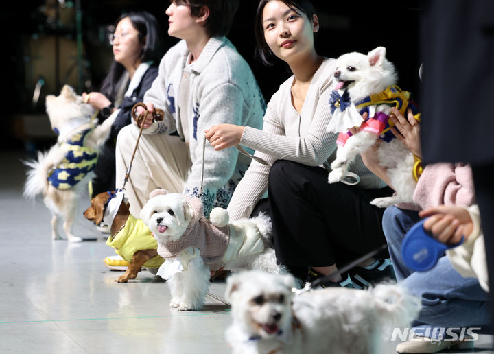 [부산=뉴시스] 하경민 기자 = 22일 부산 수영구 부산KBS홀에서 열린 2024학년도 동명대학교 신입생 입학식에 참석한 새내기 반려견들이 소개되고 있다. 이 대학교 반려동물대학은 신입생 입학을 축하하기 위해 반려견 입학 이벤트를 마련했으며, 이들 반려견은 지난해 사이버대학반려견대학생 대표로 활약했다. 2024.02.22. yulnetphoto@newsis.com