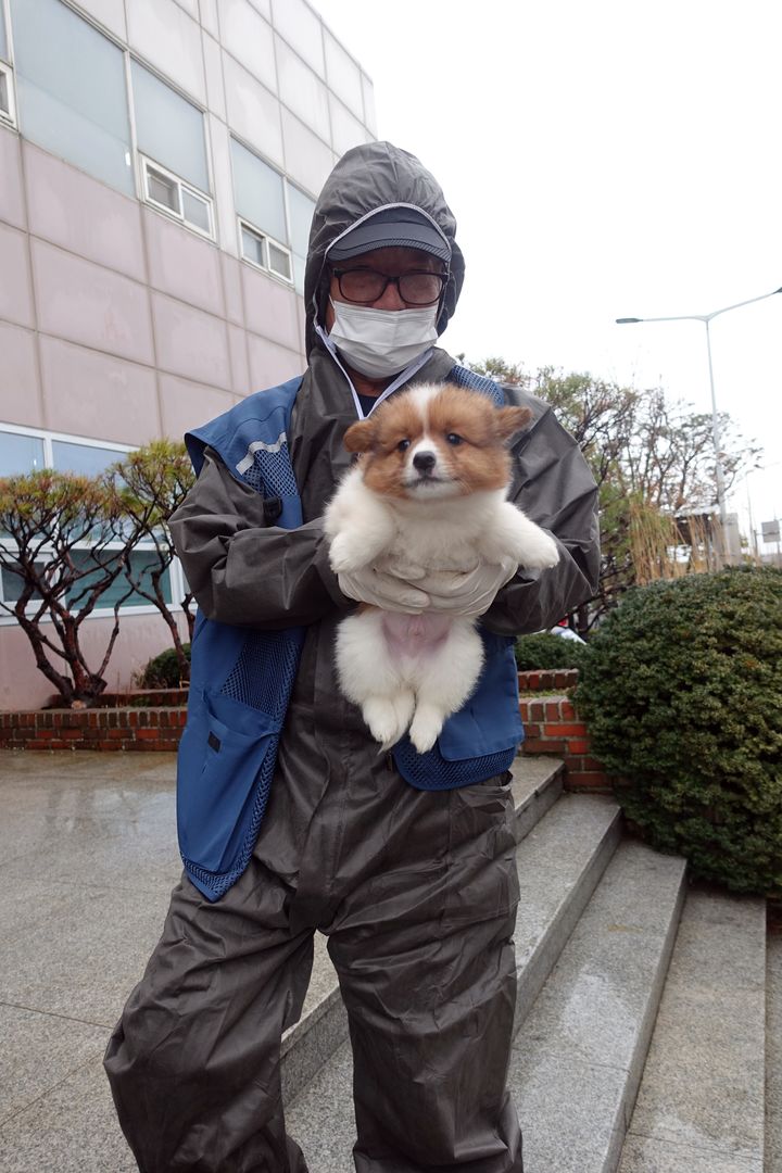 [논산=뉴시스]논산동물보호센터 김도천 주임이 새까 강아지를 구조하고 있다. (사진=논산시 제공) 2024. 02. 24  *재판매 및 DB 금지