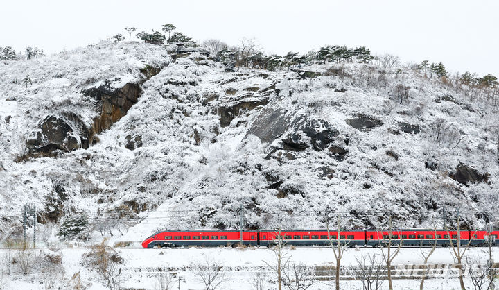 [서울=뉴시스] 황준선 기자 = 22일 오전 서울 성동구 응봉산에 전날 내린 눈이 쌓여 있다. 2024.02.22. hwang@newsis.com