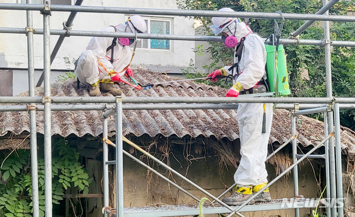 [광주=뉴시스] 주택 석면 슬레이트 지붕 철거 작업. (사진=광주시청 제공). photo@newsis.com *재판매 및 DB 금지