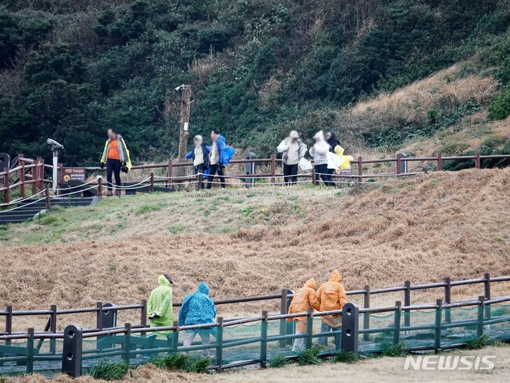 [제주=뉴시스] 오영재 기자 = 제주 서귀포시 성산일출봉에서 방문객들이 우비를 입고 탐방하고 있다. (사진 =뉴시스DB)