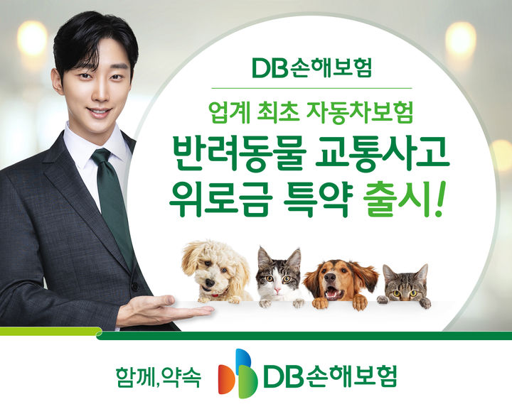DB손보, 車보험 '반려동물 교통사고 위로금 특약' 출시