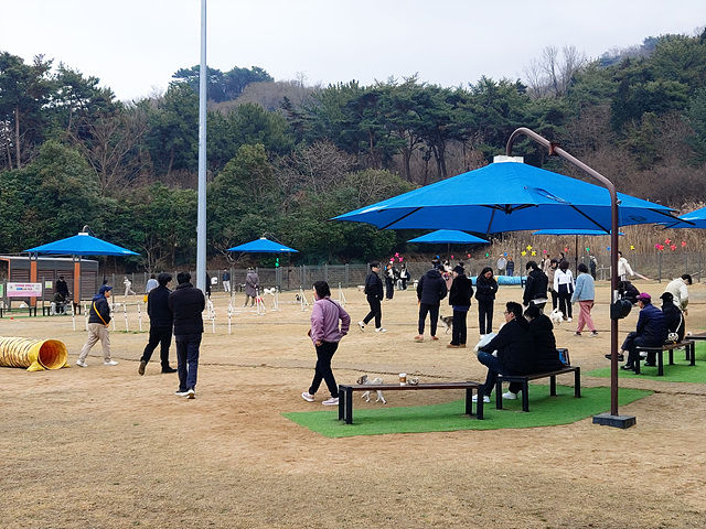 [창원=뉴시스] 경남 창원시 성산구 상복동 567번지에 위치한 반려견 전용 놀이터인 창원 펫 빌리지 놀이터. (사진=창원시청 제공). 2024.02.29. photo@newsis.com *재판매 및 DB 금지