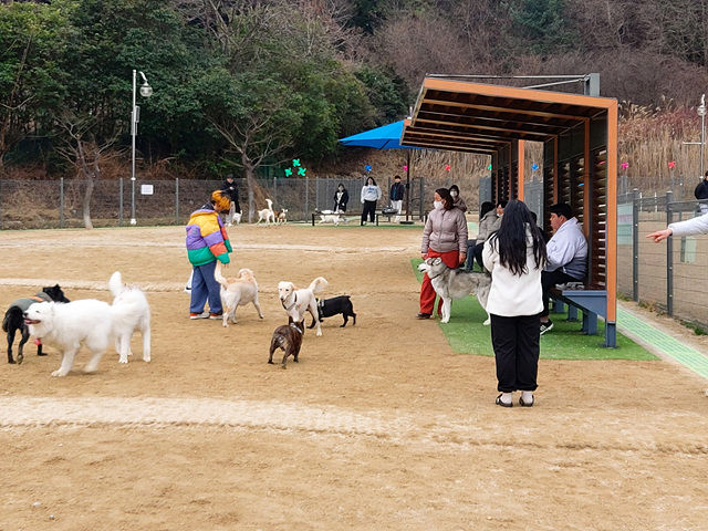 [창원=뉴시스] 경남 창원시 성산구 상복동 567번지에 위치한 반려견 전용 놀이터인 창원 펫 빌리지 놀이터. (사진=창원시청 제공). 2024.02.29. photo@newsis.com *재판매 및 DB 금지