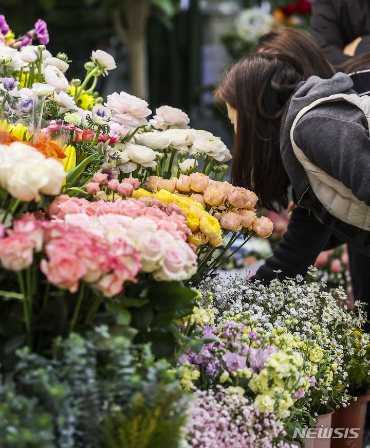 [서울=뉴시스] 정병혁 기자 = 꽃샘추위가 풀리고 평년기온을 회복한 3일 서울 서초구 양재꽃시장을 찾은 시민들이 꽃과 나무를 살펴보고 있다. 2024.03.03. jhope@newsis.com