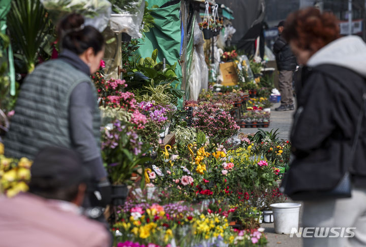 [서울=뉴시스] 정병혁 기자 = 꽃샘추위가 풀리고 평년기온을 회복한 3일 서울 종로구 종로꽃시장을 찾은 시민들이 봄꽃을 살펴보고 있다. 2024.03.03. jhope@newsis.com