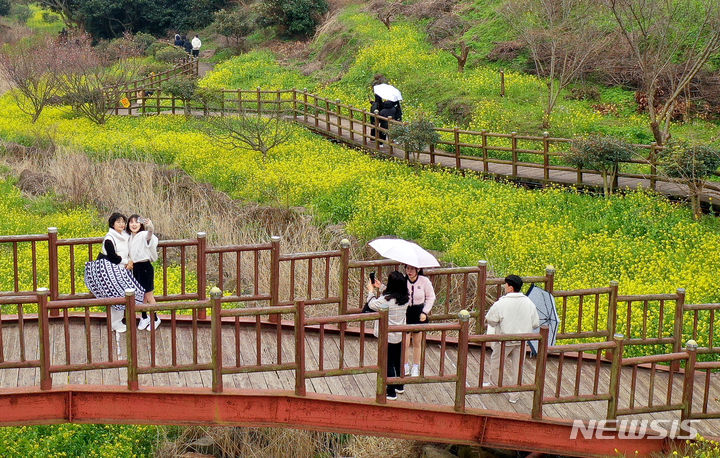[서귀포=뉴시스] 우장호 기자 = 흐린 날씨를 보인 3일 오후 제주 도내 대표적인 봄꽃 명소인 서귀포시 색달동 엉덩물계곡을 찾은 관광객들이 활짝 핀 유채꽃을 감상하며 즐거운 시간을 보내고 있다. 2023.03.03. woo1223@newsis.com