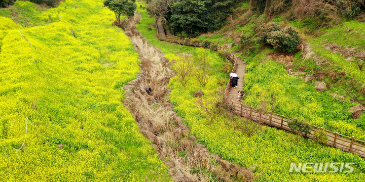 [서귀포=뉴시스] 우장호 기자 = 흐린 날씨를 보인 3일 오후 제주 도내 대표적인 봄꽃 명소인 서귀포시 색달동 엉덩물계곡을 찾은 관광객들이 활짝 핀 유채꽃을 감상하며 즐거운 시간을 보내고 있다. 2023.03.03. woo1223@newsis.com