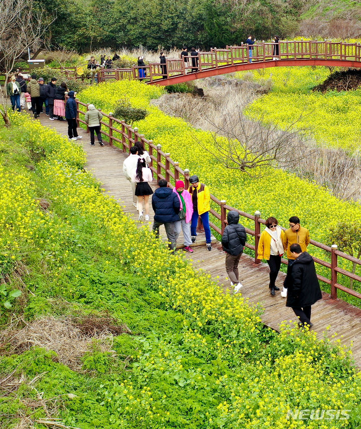 [서귀포=뉴시스] 우장호 기자 = 흐린 날씨를 보인 3일 오후 제주 도내 대표적인 봄꽃 명소인 서귀포시 색달동 엉덩물계곡을 찾은 관광객들이 활짝 핀 유채꽃을 감상하며 즐거운 시간을 보내고 있다. 2023.03.03. woo1223@newsis.com