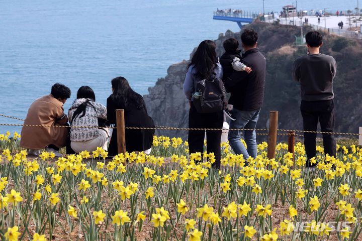 [부산=뉴시스] 하경민 기자 = 3일 부산 남구 오륙도해맞이공원을 찾은 시민과 관광객들이 활짝 핀 수선화와 푸른 바다를 둘러보며 봄 나들이를 즐기고 있다. 2024.03.03. yulnetphoto@newsis.com