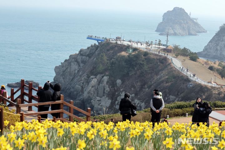 [부산=뉴시스] 하경민 기자 = 3일 부산 남구 오륙도해맞이공원을 찾은 시민과 관광객들이 활짝 핀 수선화와 푸른 바다를 둘러보며 봄 나들이를 즐기고 있다. 2024.03.03. yulnetphoto@newsis.com