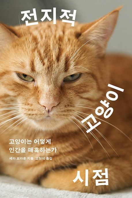 [서울=뉴시스] 전지적 고양이 시점 (사진 =메디치미디어 제공) 2024.02.04. photo@newsis.com *재판매 및 DB 금지