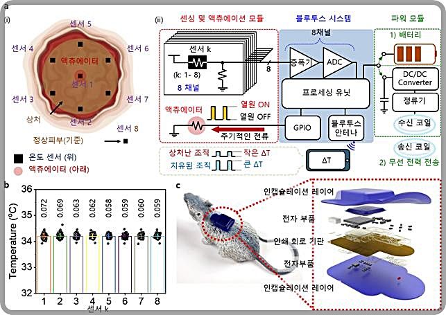 [대전=뉴시스] 실시간 상처 모니터링 시스템의 개요도. a는 상처에 위치한 온도 센서(8개)와 열 액추에이터의 위치 및 시스템 작동 다이어그램이고 b는 평균 표준편차 0.1도 미만의 정확도를 갖는 온도 측정값이다. c는 기기 상세 분해도.(사진=KAIST 제공)  *재판매 및 DB 금지