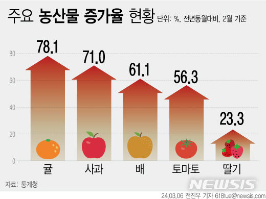 [서울=뉴시스] 6일 통계청에 따르면 과일류인 신선과실이 전년동월대비 41.2% 올라 32년 5개월 만에 최대 상승폭을 기록했다. 사과(71.0%), 귤(78.1%), 토마토(56.3%), 파(50.1%), 딸기(23.3%) 등의 상승세가 두드러졌다. (그래픽=전진우 기자)   618tue@newsis.com