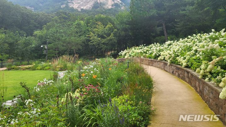 [서울=뉴시스]서울시는 7일 발표한 '매력가든·동행가든 프로젝트'에서 올해 상반기 150여 개소를 시작으로 연내 335개, 2026년까지 총 1007개의 정원을 조성한다고 밝혔다. 지난해 5월 발표한 '정원도시 서울'의 일환이다. 사진은 노원구 불암산. (사진=서울시 제공). 2024.03.07. photo@newsis.com 