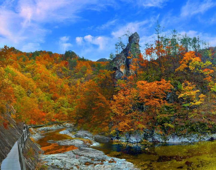 삼척 덕풍계곡. 삼척시 제공 *재판매 및 DB 금지