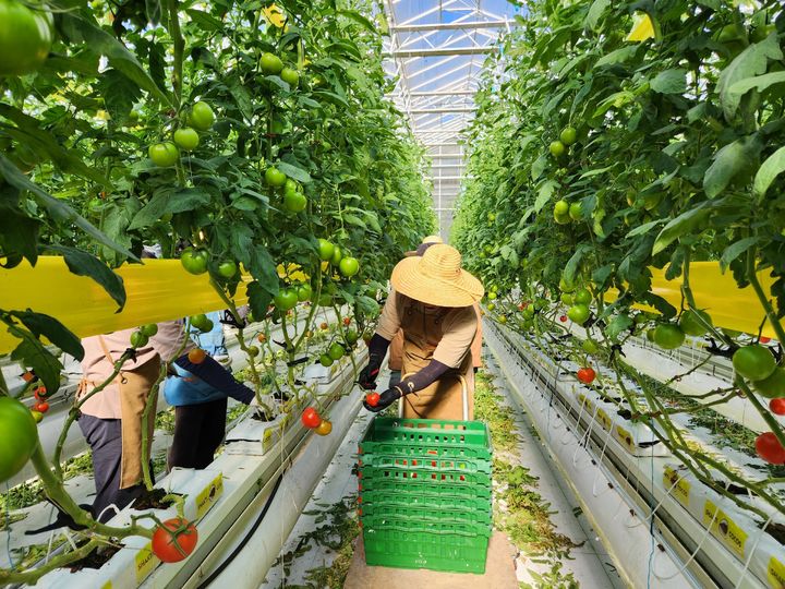 *재판매 및 DB 금지