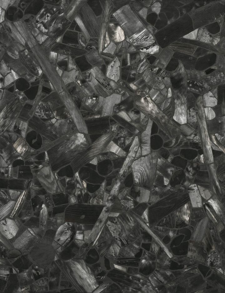 1억3000만~2억5000만원, 이배, 불로부터,charcoal on canvas, 116×89cm, 2000. 사진=케이옥션 제공.&nbsp; *재판매 및 DB 금지