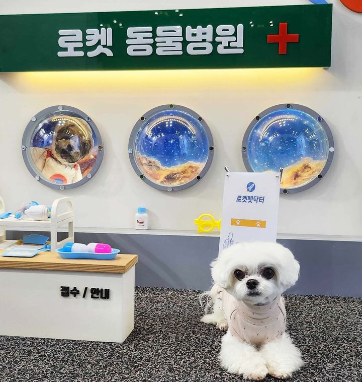 K펫 박람회 로켓펫닥터 부스 내 마련된 로켓 동물병원 포토존에서 강아지가 기념 촬영을 하고 있다. (사진=쿠팡 제공) *재판매 및 DB 금지
