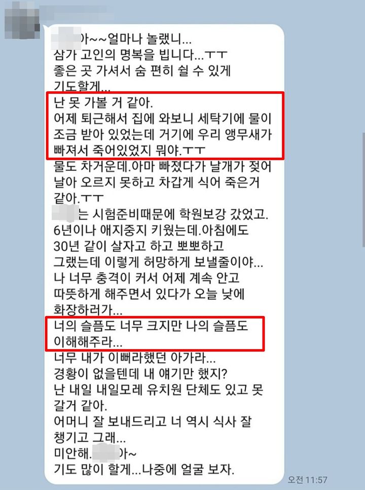 [서울=뉴시스] 모친상을 당한 여성이 친구에게 '키우던 앵무새가 죽어서 못 간다'는 문자를 받았다는 사연이 알려졌다. (사진=온라인 커뮤니티 갈무리) *재판매 및 DB 금지