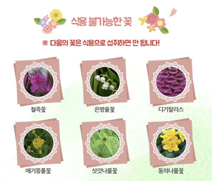 [서울=뉴시스] 12일 식품의약품안전처에 따르면 철쭉, 은방울꽃, 디기탈리스, 애기똥풀꽃, 삿갓나물꽃, 동의나물꽃 등에는 독성이 있어 섭취하면 안된다. (사진=식품안전나라 제공) 2024.03.12. photo@newsis.com *재판매 및 DB 금지