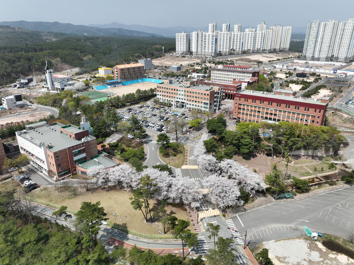 [포항=뉴시스] 선린대학교. (사진=뉴시스 DB). photo@newsis.com *재판매 및 DB 금지