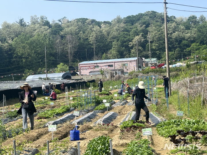 [서울=뉴시스]수강생들이 현장실습을 하고 있다.(제공=구로구)