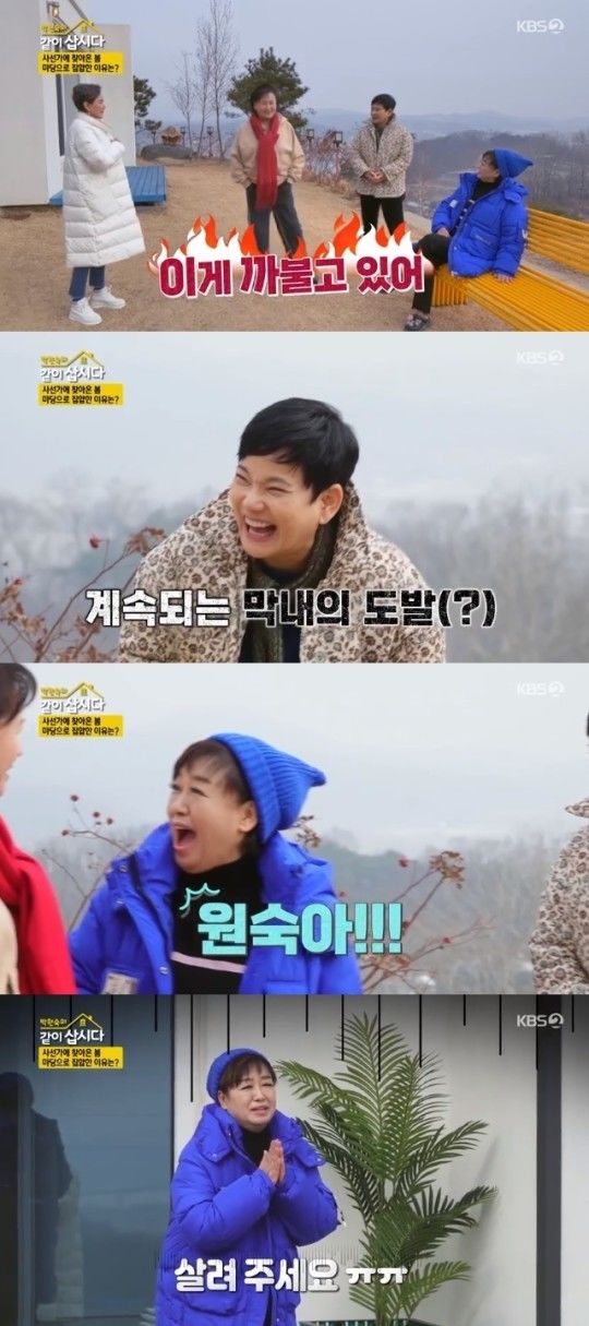 혜은이 "이혼 예능 억대 출연료 제안…고민하다 거절"