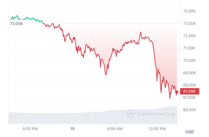 [서울=뉴시스] 15일 코인마켓캡에서 비트코인이 8% 급락해 6만7000달러선에서 거래되고 있다. 사진은 코인마켓캡 차트 갈무리. 2024.03.15.