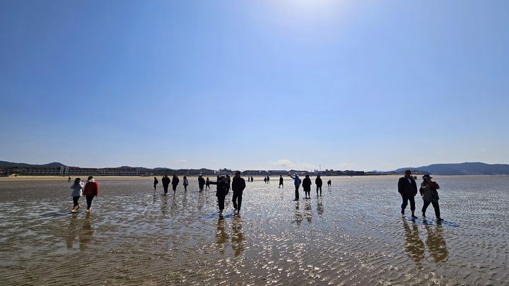 지난 15일 충남 태안 신두리해수욕장에서 '어씽' 즐기는 참가자들. 박주연 기자 photo@newsis.com *재판매 및 DB 금지