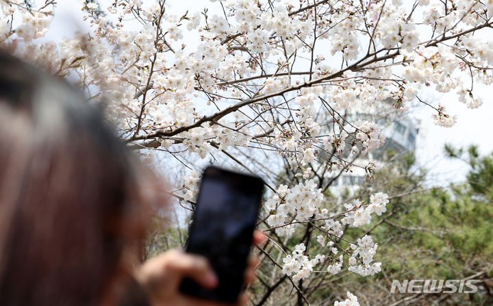 [대구=뉴시스] 이무열 기자 = 절기상 ‘춘분’인 20일 대구 달서구 이월드에 벚꽃이 활짝 펴있다. 2024.03.20. lmy@newsis.com