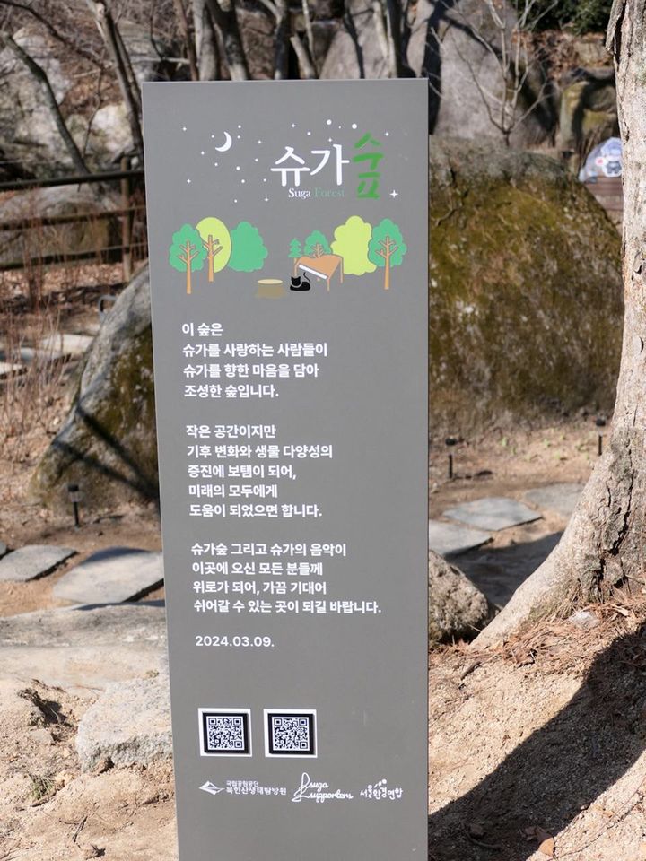 [서울=뉴시스] 슈가 숲. (사진 = 서울환경연합 제공) 2024.03.21. photo@newsis.com *재판매 및 DB 금지