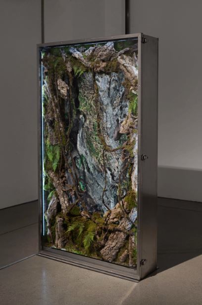 구기정, 〈그림자가 드리우지 않는 깊은 곳〉, 2023, 싱글채널비디오, 스테인리스, 폴리카보네이트, 이끼, 나뭇가지, 인공식물, 65인치 TV, 205×115×30, TV 크기 1454*831*46mm, 2160×3840px, 애니메이션 2분, 작가 소장 *재판매 및 DB 금지