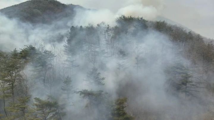 충북 보은 야산서 산불…화목 보일러 재(灰) 투기로 발화 