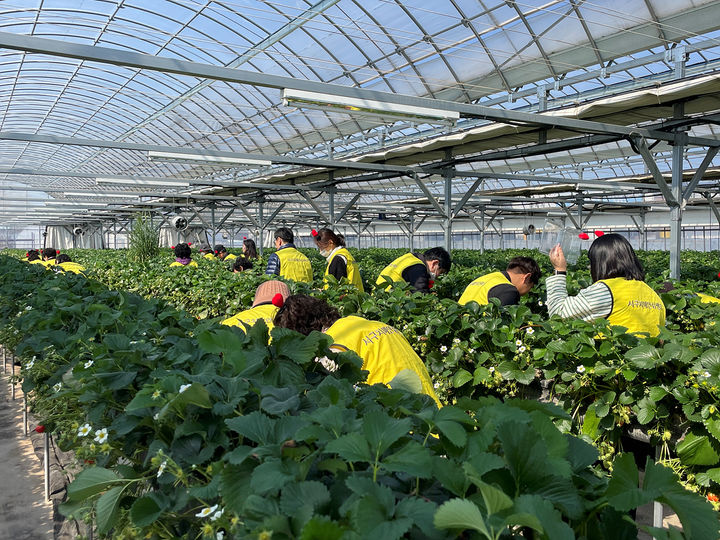 [대구=뉴시스]대구시 농업기술센터(소장 오명숙)가 운영하는 치유농업프로그램 모습이다(사진=대구시 제공) 2024.03.22 photo@newsis.com *재판매 및 DB 금지